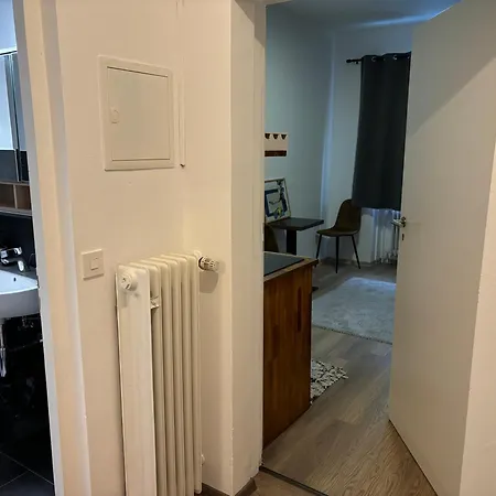 2 Zimmer Wohnung An Der Isar Munich Exterior photo